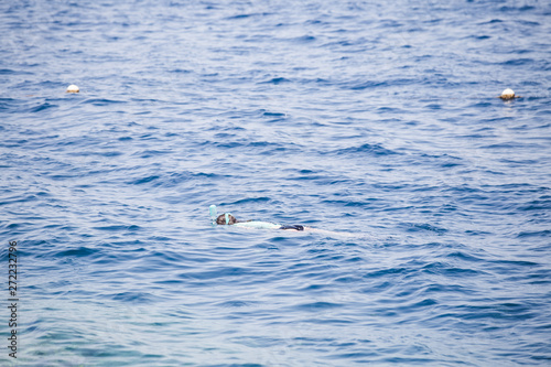 Snorkeling people in the sea
