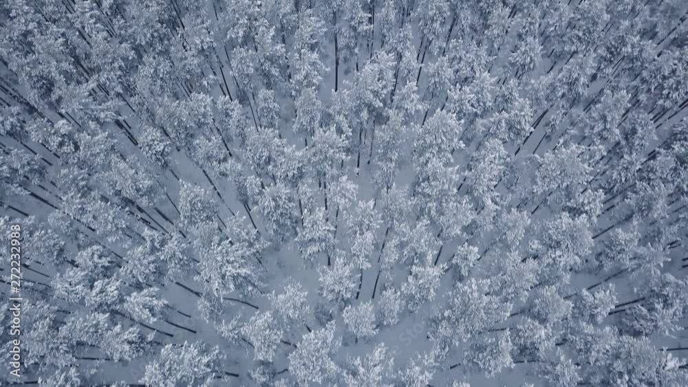Flight over winter Yaroslavl. Russia. Flight over winter Yaroslavl. Russia.
