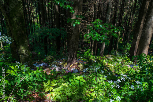 Human trash in the forest near roadside  conceptual human negligence image.