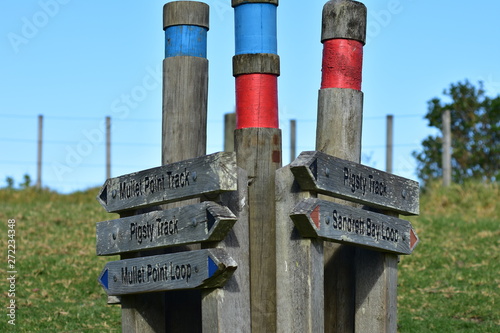 Round poles with color coded bands and wooden signs with walking tracks names and directions. photo