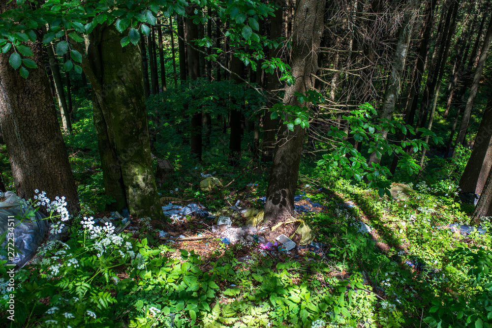 Fototapeta premium Human trash in the forest near roadside, conceptual human negligence image.
