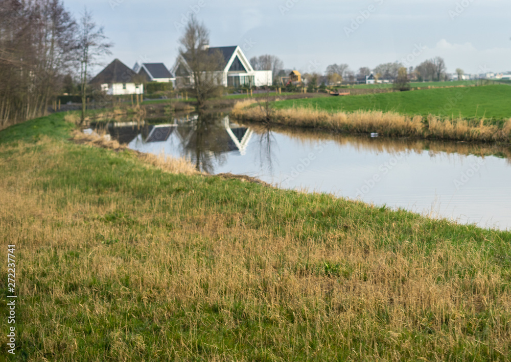 Flower garden, Netherlands , a river running through a grassy field