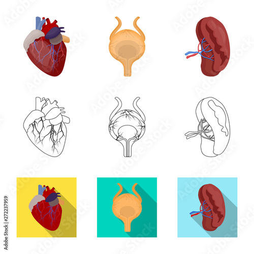 Vector illustration of body and human symbol. Set of body and medical vector icon for stock.