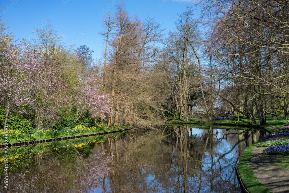 Flower garden, Netherlands , a body of water surrounded by trees