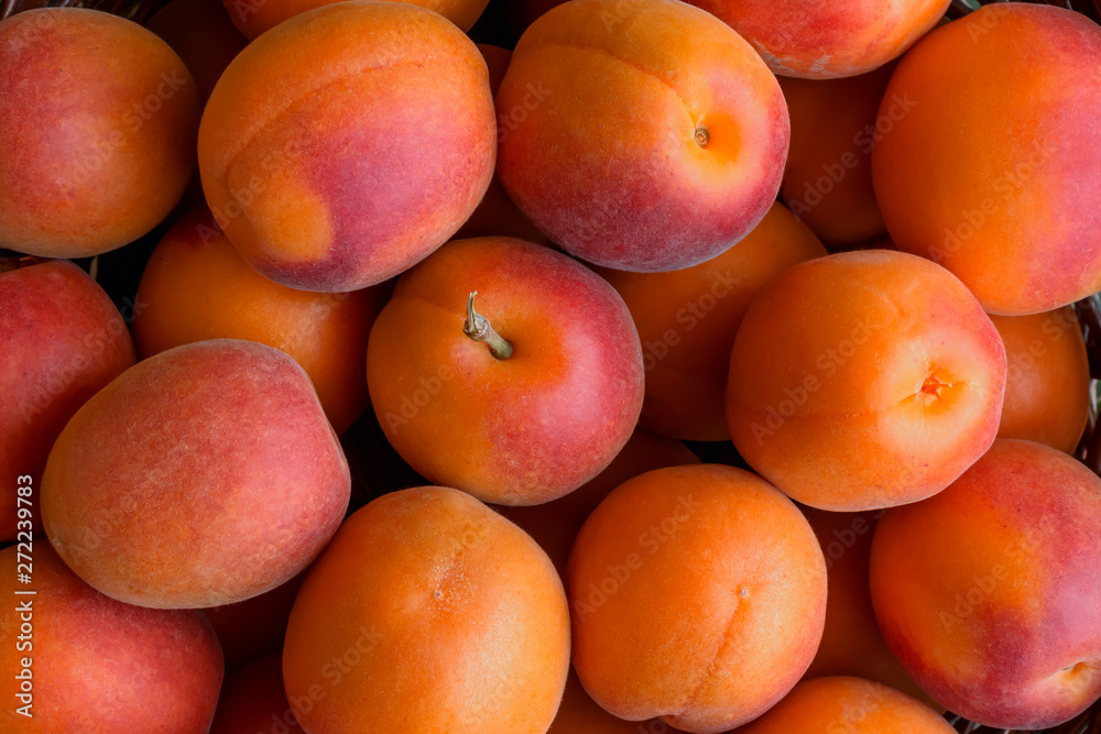 Freshly picked bright ripe apricots. The concept of healthy eating. Freshly picked bright ripe apricots. The concept of healthy eating.
