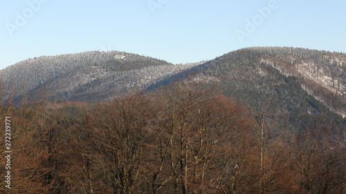 Forest mountain hill winter forest of a beech Fagus sylvatica and spruce Picea abies forest, snow covered with a large layer, in the Beskydy Mountains in Europe