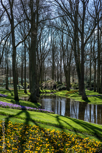 Flower garden, Netherlands , a close up of a lush green forest
