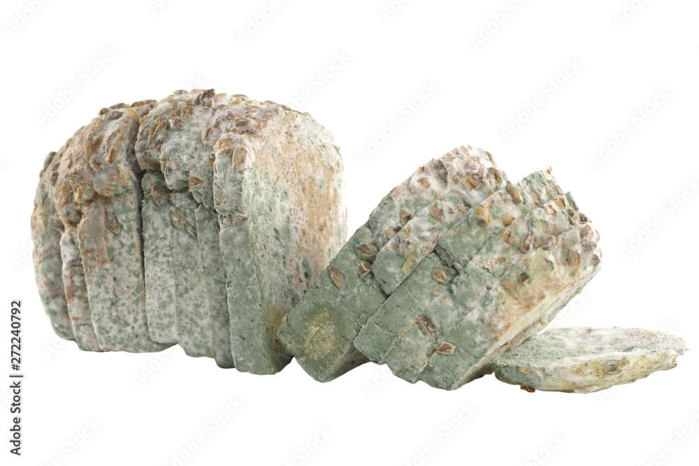 mouldy bread isolated