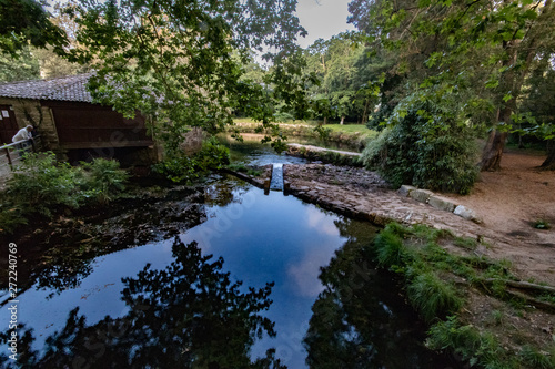 bridge over the river