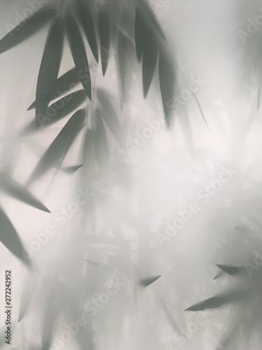 bamboo, green, leaf, nature, isolated, plant, tree, leaves, branch, grass, white, abstract, floral, asia, fresh, herb, spring, summer, pattern, forest, art, natural, illustration, texture, closeup, st