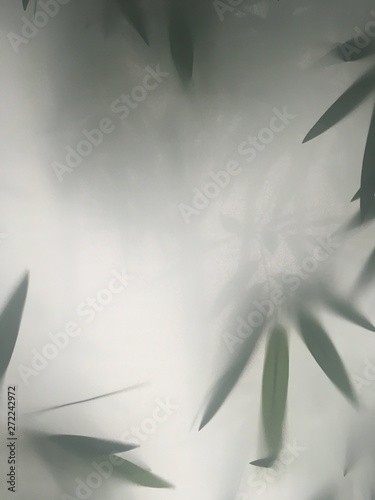 bamboo, green, leaf, nature, isolated, plant, tree, leaves, branch, grass, white, abstract, floral, asia, fresh, herb, spring, summer, pattern, forest, art, natural, illustration, texture, closeup, st