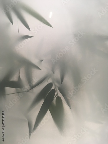 bamboo, green, leaf, nature, isolated, plant, tree, leaves, branch, grass, white, abstract, floral, asia, fresh, herb, spring, summer, pattern, forest, art, natural, illustration, texture, closeup, st