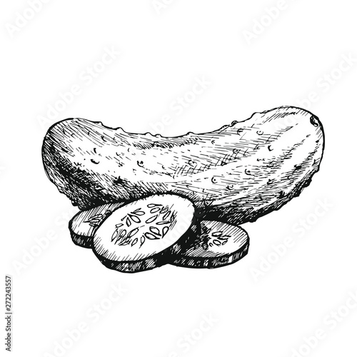 Cucumber