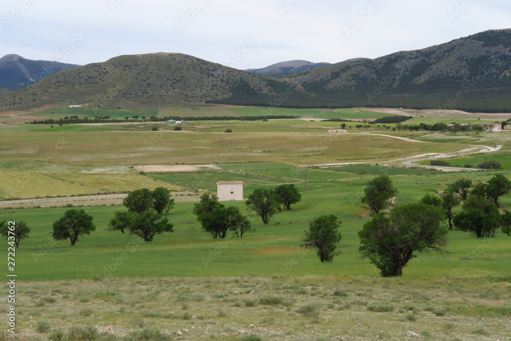 Obraz premium Campagne espagnole