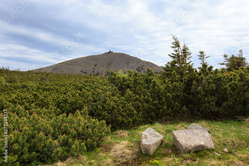 View of the Sniezka. photo