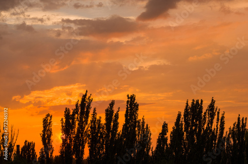 Landscape with dramatic light - beautiful golden sunset with saturated sky and clouds.