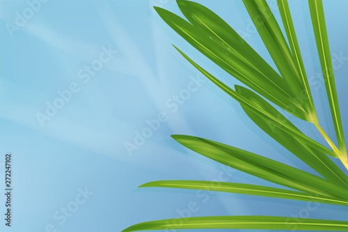 Natural background  green tropical leaf with blue background  illustration vector. 