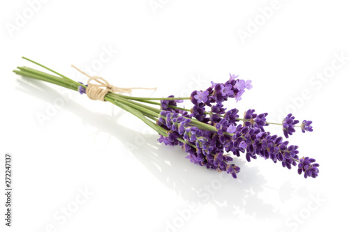 Lavender flowers bundle on a white background