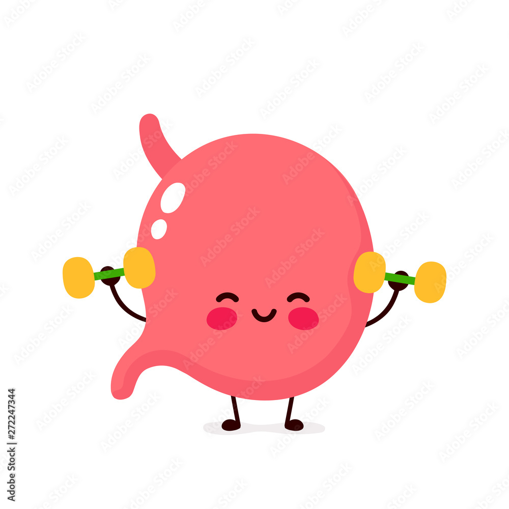 Cute happy smiling stomach organ Cute happy smiling stomach organ