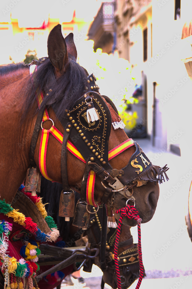 A horse decorated for a traditional party in Valencia, Spain