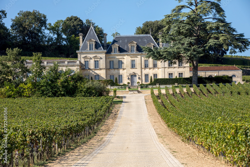  Vineyard of Chateau Fonplegade - name (literally fountain of plenty) was derived from the historic 13th century stone fountain that graces the estate's vineyard. St Emilion, France