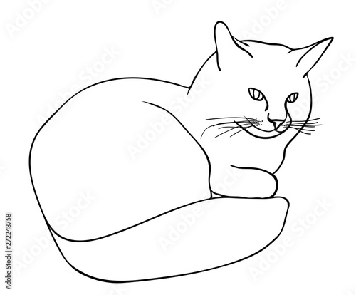Vector illustration, isolated smiling happy cat lies  in black and white colors, outline hand painted drawing