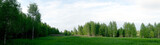 Panorama of landscape with forest, meadow and blue sky
