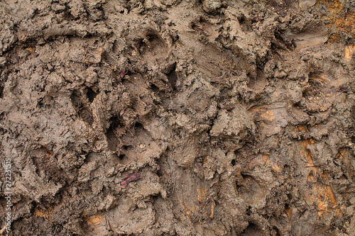 Texture of brown mud. Slobber desktop image.