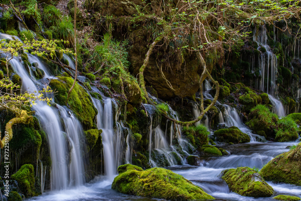 Fototapeta premium 元滝伏流水