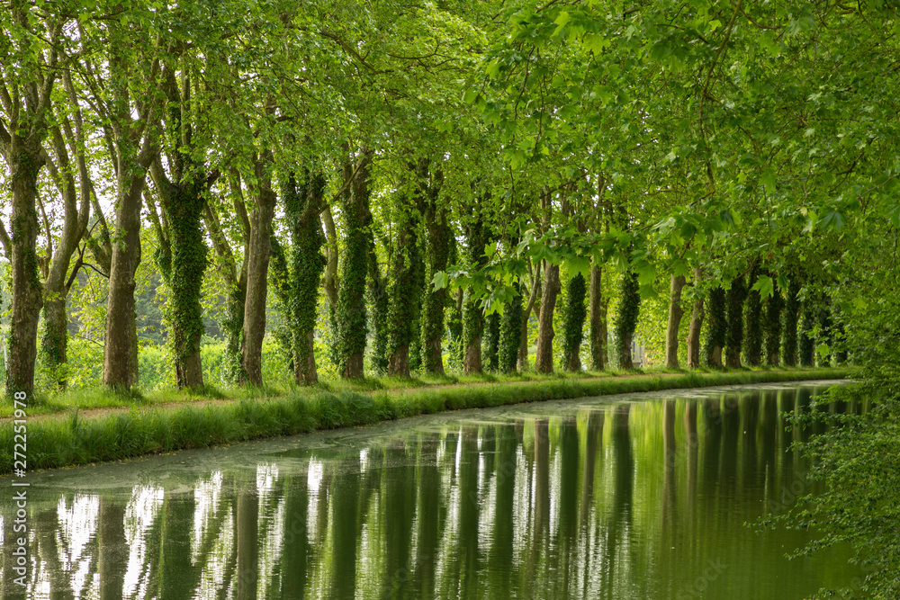 Fototapeta premium view of the canal de garonne in Bordeaux, France