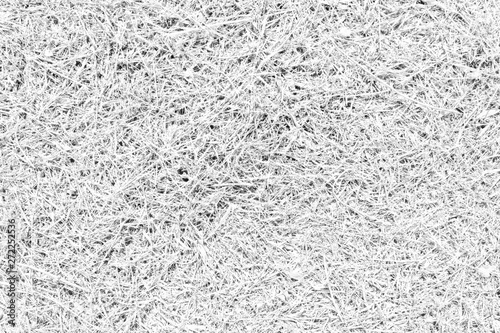 White grass texture. Monochrome surface of lawn on the ground.