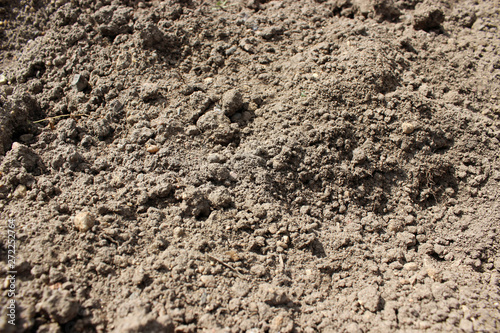 Topsoil. Blurred ground close-up for background.