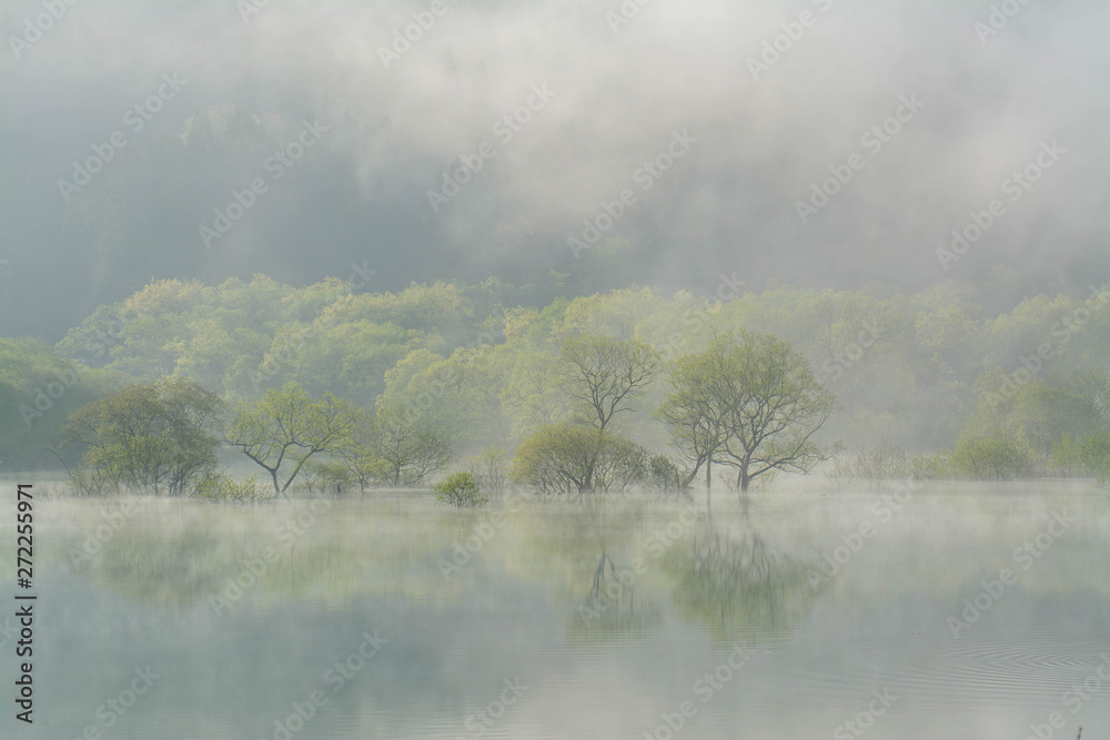 白川湖 白川湖