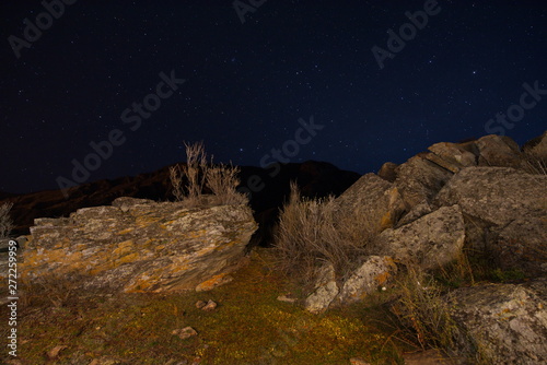 Russia. The South Of Western Siberia. Moonless night in the Altai Mountains
