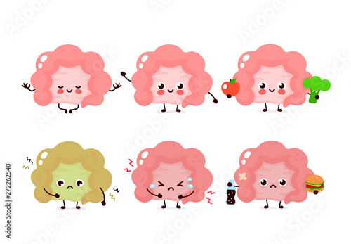Healthy and unhealthy human intestine organ