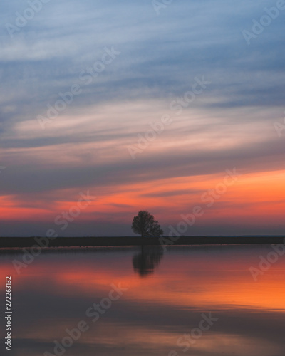 Lonely tree on the background of the most beautiful  scarlet sunset over the river in the spring