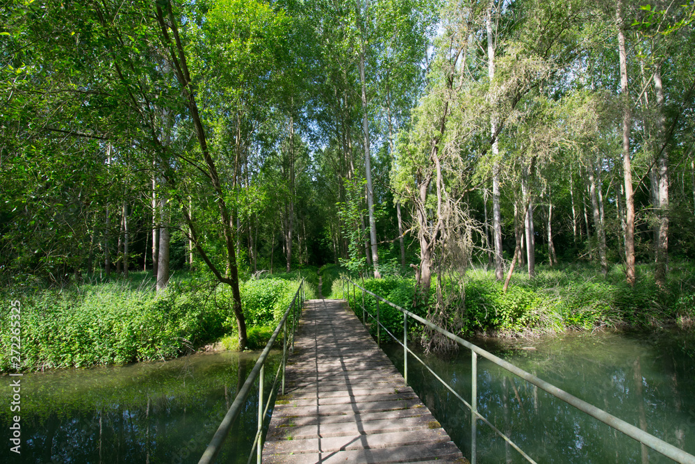 Die Rheinauen bei Sasbach im Kaiserstuhl Die Rheinauen bei Sasbach im Kaiserstuhl