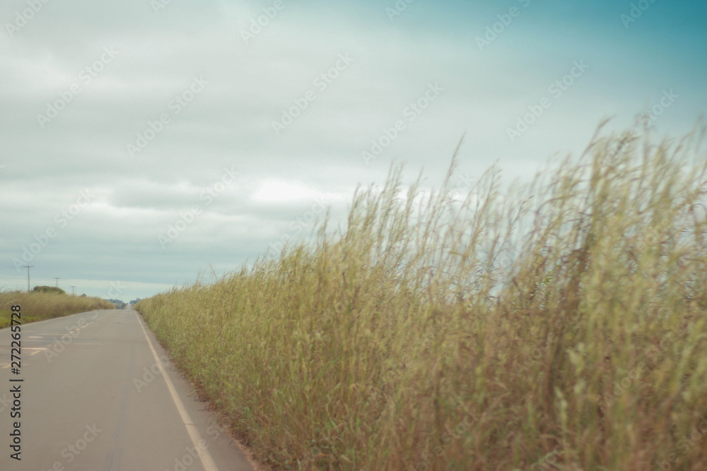 Fototapeta premium Céu e estrada