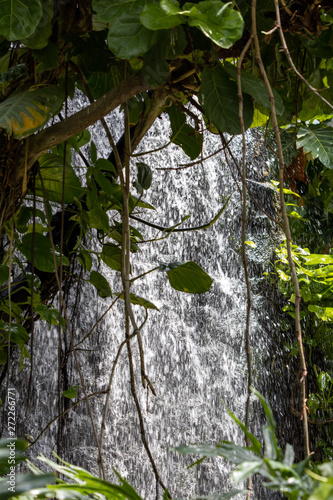 Waterfall through trees