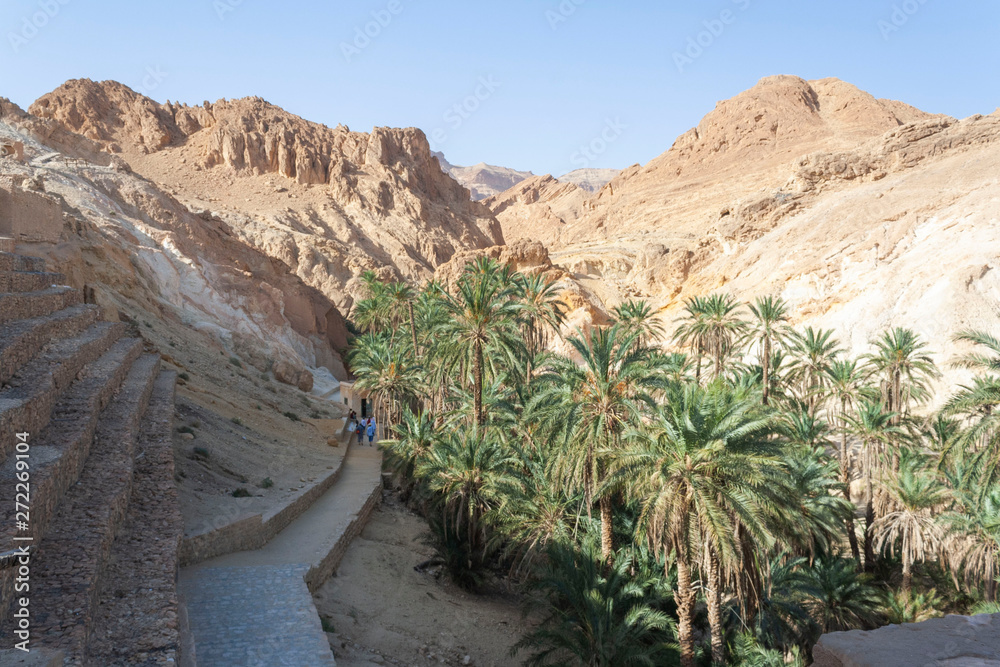 panorama of mountains and palm trees in the oasis of chebika in the ...