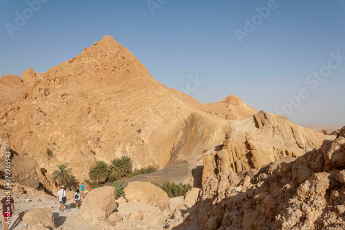 tunisia  oasis chebika  Sahara