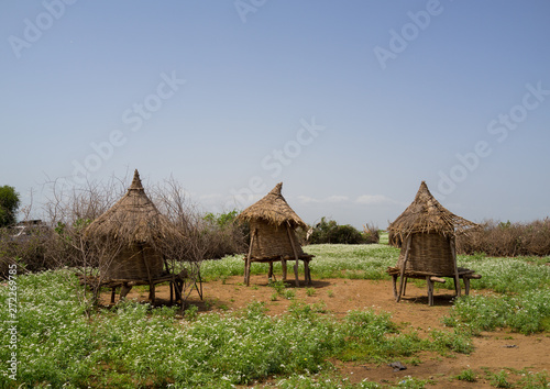 Nyangatom tribe granaries in a village, Omo valley, Kangate, Ethiopia photo