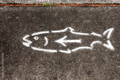 Spray painted fish on sidewalk acts as directional sign photo