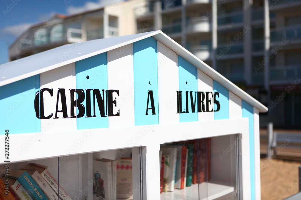 Obraz premium Cabane à livre