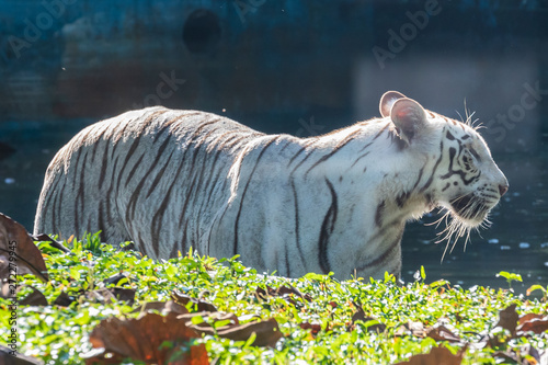 Photography Zoo Kuala Lumpur