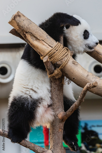 Photography Zoo Kuala Lumpur
