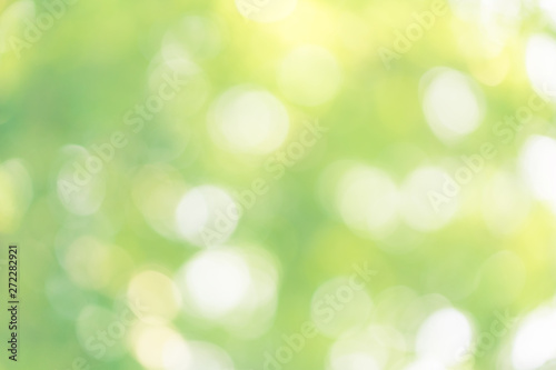 abstract blur green color for background,blurred and defocused effect spring concept for design