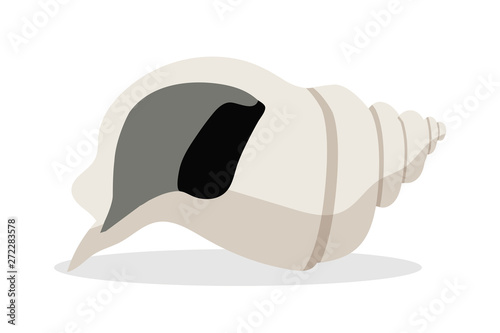 Sea shell vector cartoon illustration