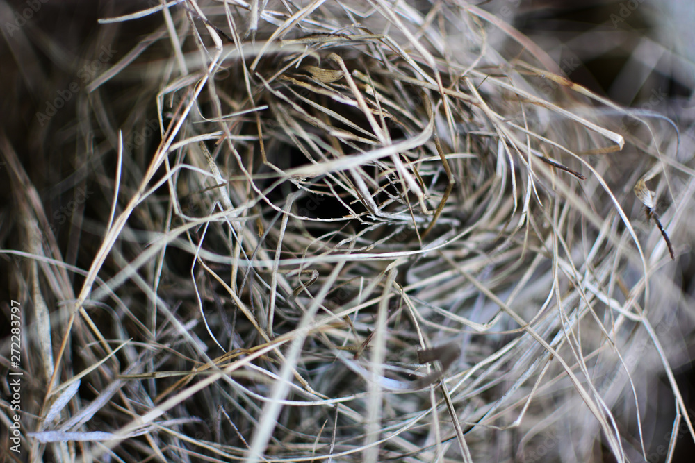 Bird's nest on floor,blur background .