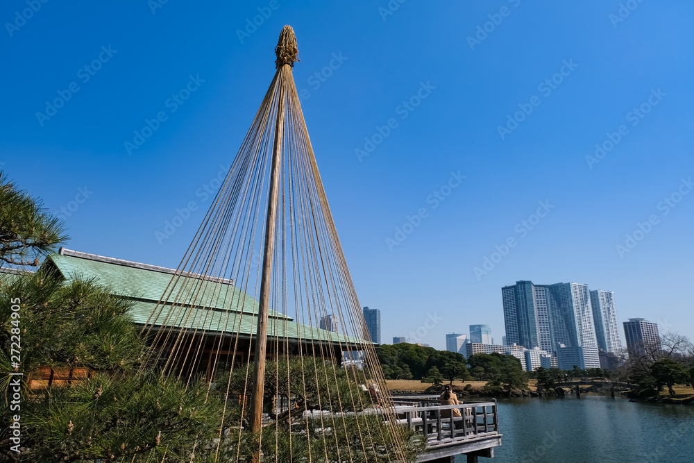 Obraz premium 浜離宮恩賜庭園 中島の御茶屋 雪吊